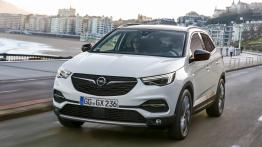 Opel Grandland X Ultimate (2018)  - widok z przodu