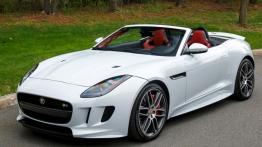 Jaguar F-Type AWD R Roadster (2016) - widok z przodu