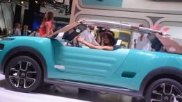 Frankfurt Motor Show 2015 - samochody koncepcyjne - galeria redakcyjna - inne zdjęcie