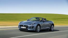 Jaguar F-Type V6 Satellite Grey - widok z przodu