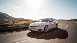 BMW 420d Gran Coupe (2014) - widok z przodu