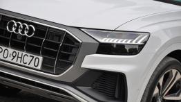 Audi Q8 50 TDI 286 KM - galeria redakcyjna (1)