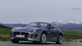 Jaguar F-Type V6 Satellite Grey - widok z przodu