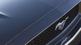 Ford Mustang VI Cabrio (2015) - logo