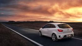 Seat Ibiza V Cupra - widok z tyłu