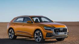 Audi Q8 uzupełnia gamę SUV-ów z Ingolstadt