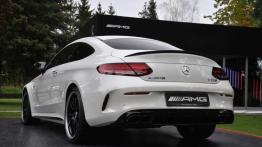 Mercedes-AMG i dwa przepisy na coupe – czterodrzwiowe AMG GT i łobuz klasy średniej