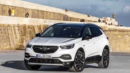 Opel Grandland X Ultimate (2018)  - widok z przodu