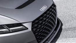 Audi TT clubsport turbo Concept (2015) - grill