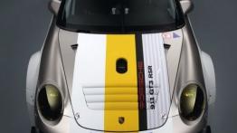 Porsche 911 GT3 RSR 2011 - widok z góry