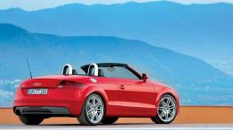 Audi TT 2007 Roadster - widok z tyłu