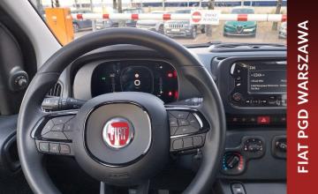 Fiat Panda III Hatchback 5d seria 4 1.0 Hybrid 70KM 2024 Urban, zdjęcie 8