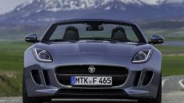 Jaguar F-Type V6 Satellite Grey - widok z przodu