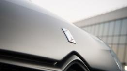 Citroen DS3 Cabrio Racing (2014) - logo