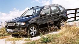 BMW X5 4.4i - galeria redakcyjna - lewy bok