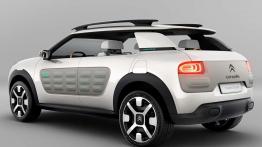 Citroen C4 Cactus zachowa cechy szczególne?