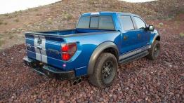 Shelby Baja 700 - ponad 700 pracowitych koni