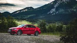 Audi A3 8V Sportback 5d Facelifting 1.5 TFSI 150KM 110kW 2017-2018