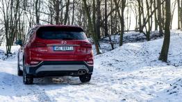 Hyundai Santa Fe 2.0 CRDI 185 KM - galeria redakcyjna - widok z tyłu