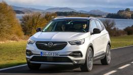 Opel Grandland X Ultimate (2018)  - widok z przodu