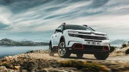 Citroen C5 Aircross (2018) - widok z przodu