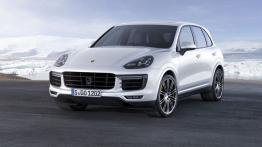 Porsche Cayenne II SUV Facelifting 4.8 520KM 382kW 2014-2017