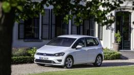 Volkswagen Golf Sportsvan Sportsvan 1.6 TDI BlueMotion 110KM 81kW 2014-2017