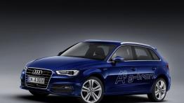 Audi A3 8V Sportback 5d 2.0 TDI clean diesel 184KM 135kW 2014-2016