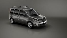 Renault Kangoo II Mikrovan Facelifting 2013 1.2 TCe 115KM 85kW 2015-2019