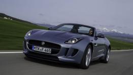 Jaguar F-Type V6 Satellite Grey - widok z przodu