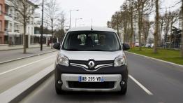 Renault Kangoo II Express Compact Facelifting 2013 1.5 Blue dCi 95 95KM 70kW 2019