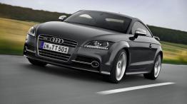 Audi TT 8N Coupe 3.2 V6 250KM 184kW 2003-2006