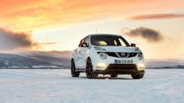 Nissan Juke I SUV Facelifting 1.6i 94KM 69kW 2014-2015