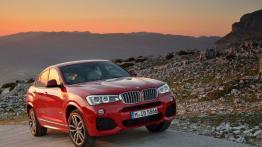 BMW X4 G01 xDrive35d 313KM 230kW 2014-2017