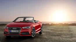 Audi A3 8V S3 Cabriolet 2.0 TFSI 300KM 221kW 2014-2016