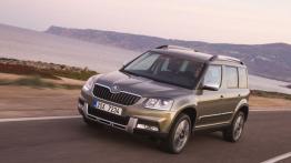 Skoda Yeti Outdoor 2.0 TDI (Euro 6) 110KM 81kW 2015-2017