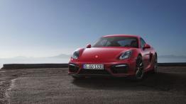 Porsche Cayman 981c Coupe 3.4 340KM 250kW 2014-2016