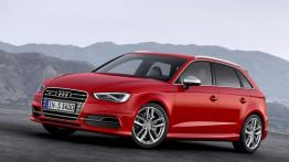 Audi A3 8V S3 Sportback 2.0 TFSI 300KM 221kW 2013-2016