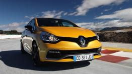 Renault Clio IV RS 200 (2013) - widok z przodu