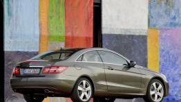 Mercedes Klasa E W212 Coupe 200 CGI BlueEFFICIENCY 184KM 135kW 2009-2012