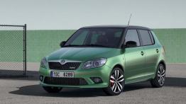 Skoda Fabia II Hatchback 1.2 i HTP 60KM 44kW 2007-2010