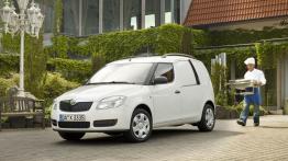 Skoda Praktik Furgon 1.4 TDI 80KM 59kW 2007-2010