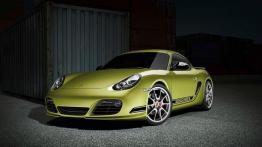 Porsche Cayman 987c Coupe Facelifting 2.9 265KM 195kW 2011-2012