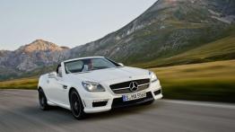 Mercedes SLK R172 Roadster 250 d 204KM 150kW 2015-2015