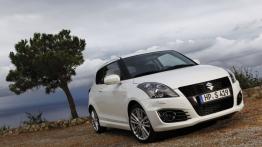 Suzuki Swift V Hatchback 3d 1.3 DDiS 75KM 55kW od 2010