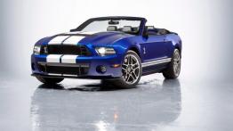 Ford Mustang V Cabrio 5.4 Turbo 540KM 397kW od 2007