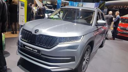 #genewa #skoda #fabia #kodiaq