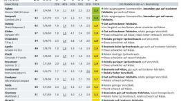 Test opon letnich ADAC 2018