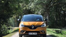 Renault Scenic IV 1.7 Blue dCi  120KM 88kW 2018-2019