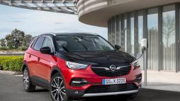 Opel Grandland X Hybrid4 - widok z przodu